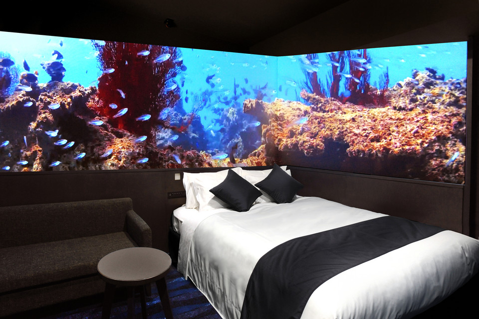 Churaumi Room (Double)