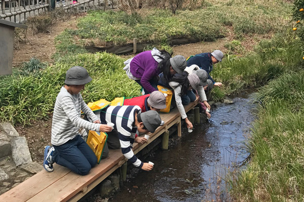 Preserving forests and gardens owned by the company